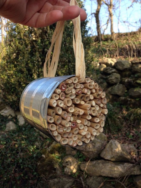 waldbienen